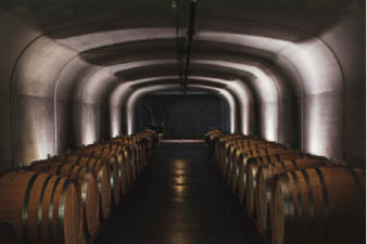 Wine cave barrel storage.