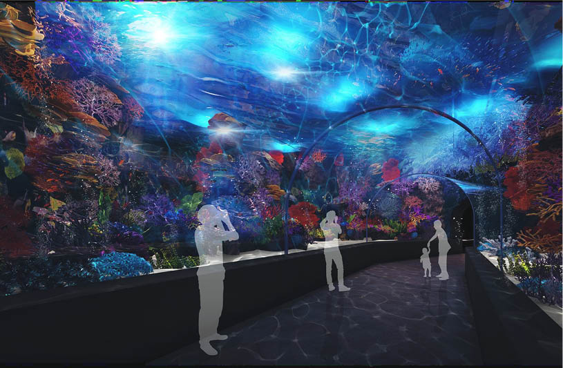 High-end aquarium in Qatar