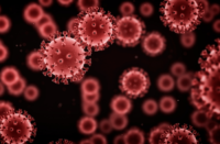 2020 Coronavirus Pandemic