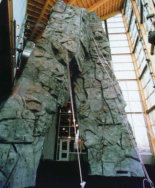 Custom rock climbing walls made with decorative concrete.