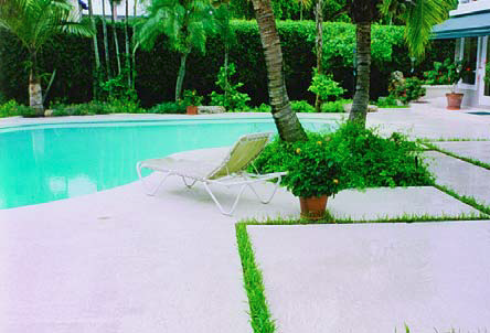 Using elements of the natural surrounding such as grass is a great way to liven up a pool deck.