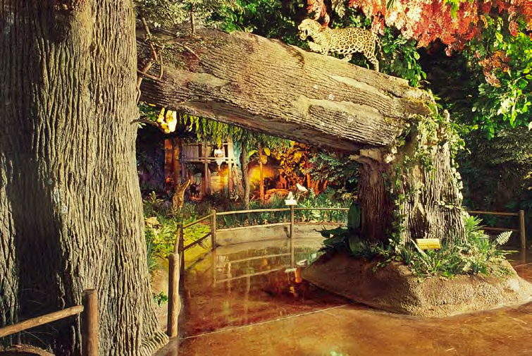 The Rainforest display in the Museum at Rolling Hills Wildlife Adventure in Salina, Kan.