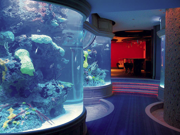 Aquarium with concrete features inside.