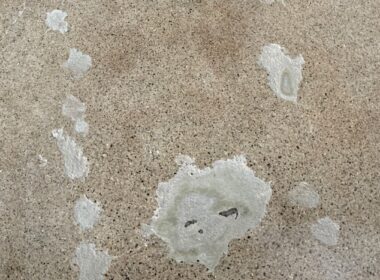 Polished concrete repair products used on this slab