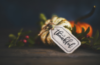 A Thanksgiving Perspective from Concrete Decor
