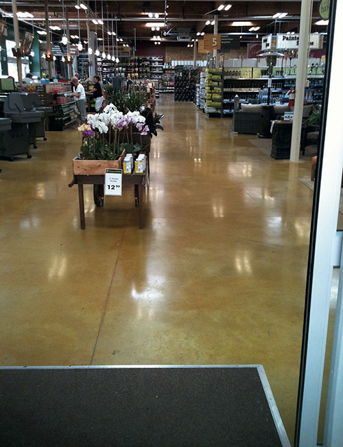 Polished concrete floor in a high traffic area near the cash registers in a grocery store. Cart with flowers over polished concrete floors.