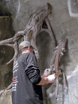 When all the epoxy work is done, it is colored using exterior flat house paint. Step six creating tree roots out of epoxy.