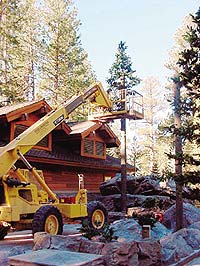 A large fake fir tree stands near a log cabin in Lake Tahoe. The evergreen tree is made from GFRC.