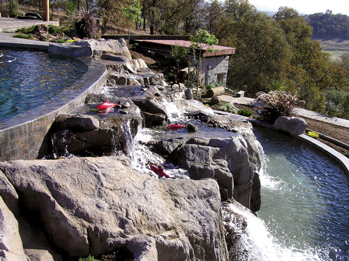 Shotcrete faux fish ladder - Rock-themed landscapes are showing up more and more in commercial and residential settings  and many of them look like the real thing.