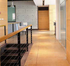 Hallway stained with a light brown blending in with the modern design aesthetic.